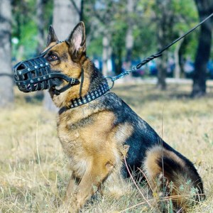 Кожаный намордник сетка для немецкой овчарки «Maximum safety»